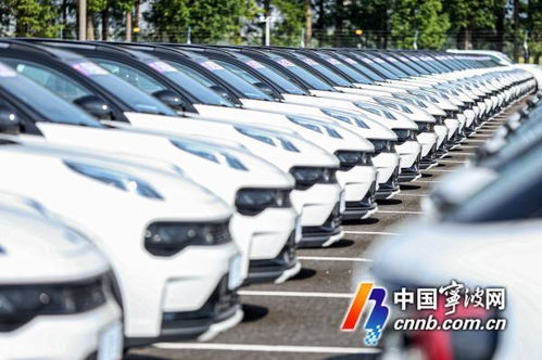 淡季不淡 8月宁波新能源汽车市场有些热
